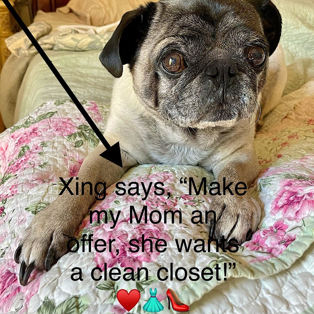 Make me an offer! Xing and I will listen!!!